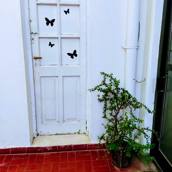 Área común El Espejo